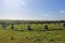 Merry Maidens Stone Circle, Penwith Peninsula, Cornwall, UK