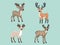 Merry Moments - Christmas Reindeer Illustration