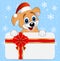 Merry puppy in a christmas cap and greeting-card