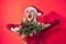 merry woman christmas holiday decoration fun red background