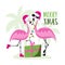 Merry Xmas - funny flamingos in santa hat with Christmas present in island.