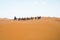 Merzouga, Morocco - APRIL 29 2019: View of tourists on a camel ride tour in Sahara Desert