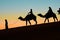 Merzouga, Morocco - December 03, 2018: backlight camels sunset