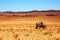 Merzouga, Morocco - Feb 21, 2016: two pilots women of off-road v