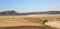 Merzouga, Morocco - Feb 25, 2016: panoramic view on convoys of offroad cars in Morocco desert near Merzouga. Merzouga is famous