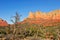 Mesa rock formations Arizona