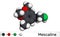 Mescaline molecule. It is hallucinogenic, psychedelic,  phenethylamine alkaloid Molecular model