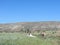 Meseta landscape around Castrojeriz