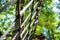 Mesh obstacle detail in green forest adventure playground