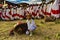 Meskel Celebration, Lalibela, Ethiopia