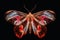 Mesmerising butterfly photography created with generative AI technology