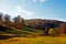 Mesmerising shot of a field with trees on an autumn day under the cloudy sky na