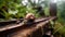 This mesmerizing closeup photograph captures the serene beauty of a snail delicately perched on a rail.