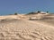 Mesmerizing desert landscape with dunes and several green trees under a clear blue sky