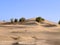 Mesmerizing desert landscape with dunes and several green trees under a clear blue sky