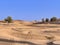 Mesmerizing desert landscape with dunes and several green trees under a clear blue sky