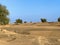 Mesmerizing desert landscape with dunes and several green trees under a clear blue sky