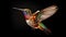 The mesmerizing details of a hummingbird\\\'s plumage. Black background. Generative AI