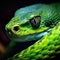 Mesmerizing details of a snake in close-up.