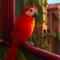 a mesmerizing display, exquisite red parrot scurries with agility along the balcony, its vibrant plumage contrasting.