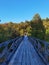 Mesmerizing display of a wooden bridge leading to a dense forest