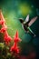 A mesmerizing hummingbird frozen in mid-air while sipping nectar from a vibrant red flower