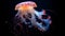 A mesmerizing jellyfish floating gracefully in its tank. AI Generative