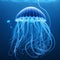 Mesmerizing Jellyfish Illustration: A Visual Underwater Delight