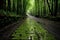 Mesmerizing journey through the mystical depths of a serene bamboo forest