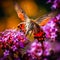 Mesmerizing Macro Shot of Hummingbird Hawk-Moth Sipping Nectar