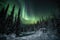 Mesmerizing Northern Lights dancing over snow-covered mountains and forests