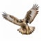 Mesmerizing Optical Illusion: Red Tailed Hawk Hunting On White Background