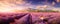 mesmerizing panoramic shot of a vast lavender field in full bloom, with rows of purple flowers stretching to the horizon panorama