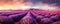 mesmerizing panoramic shot of a vast lavender field in full bloom, with rows of purple flowers stretching to the horizon panorama