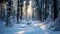 Mesmerizing Panoramic Winter Wonderland with Snow-Covered Fir Branches and Peaceful Snowfall. Generative Ai