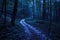 A mesmerizing pathway through the woods comes alive with a captivating blue glow from strategically placed lights, A dark forest