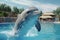 Mesmerizing pool spectacle as a dolphin gracefully jumps and splashes