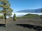 A mesmerizing scene where a sea of clouds gracefully wraps around a pristine forest and majestic mountains