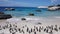 Mesmerizing shot of a beautiful beach with cute penguins under the blue sky