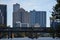 Mesmerizing shot of Congress Avenue Bridge  with graffiti from Lou Neff Point in Austin, US