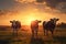 Mesmerizing sight, cows silhouetted against the breathtaking sunset