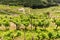 A mesmerizing sight of the Miño River snaking its way through the verdant hills of Ribeira Sacra in Chantada, Galicia, Spain,