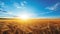 Mesmerizing sunrise over serene countryside with vibrant wheat fields and clear blue sky