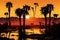 mesmerizing sunset over desert oasis with silhouettes of palm trees visible in the background