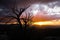 Mesmerizing sunset over a field full of bare plants