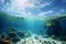 Mesmerizing underwater ecosystem and picturesque sandy beach under the radiant summer sky