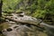 Mesmerizing view of a branch in the Greer Spring in the Ozark region of Missouri