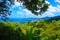 Mesmerizing view of the cloudscape and the seascape with densely grown green trees on the foreground