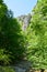 Mesmerizing view of the famous Varghis gorges in Romania