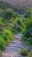 Mesmerizing view of the stairs surrounded by trees in Garajonay Park, La Gomera, Canary Islands